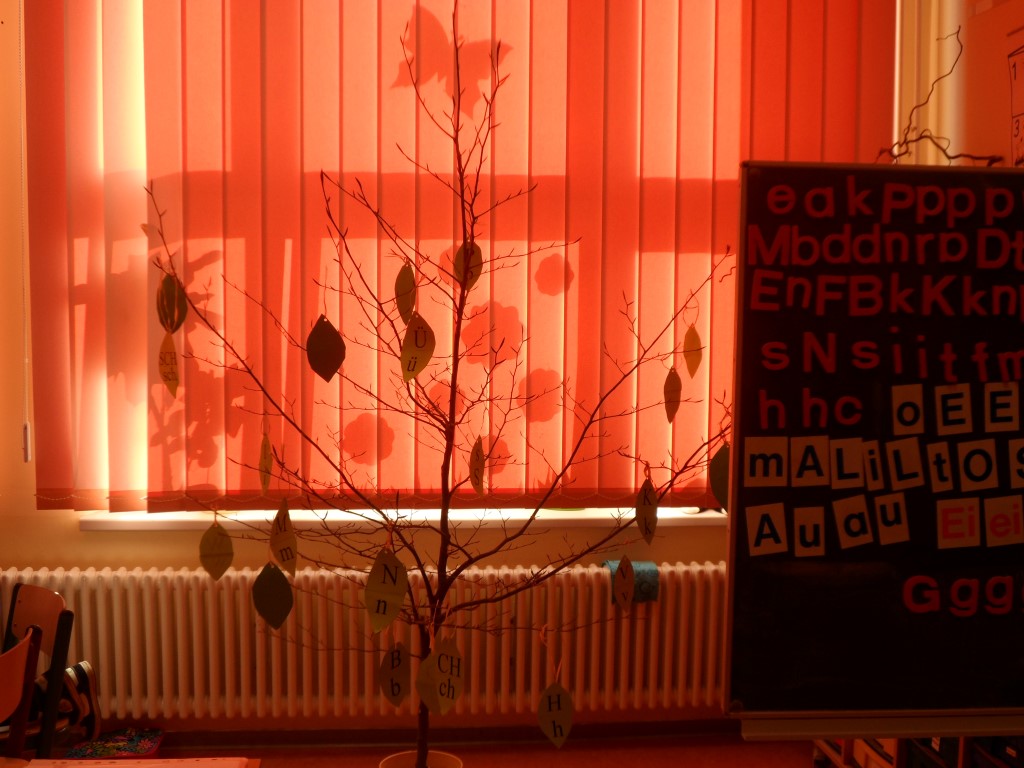 Leseprojekt2015(3)
