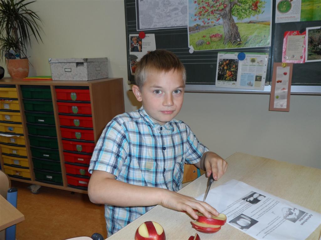 Herbstprojekt 2014 003