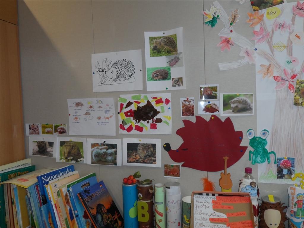 Herbstprojekt 2014 015