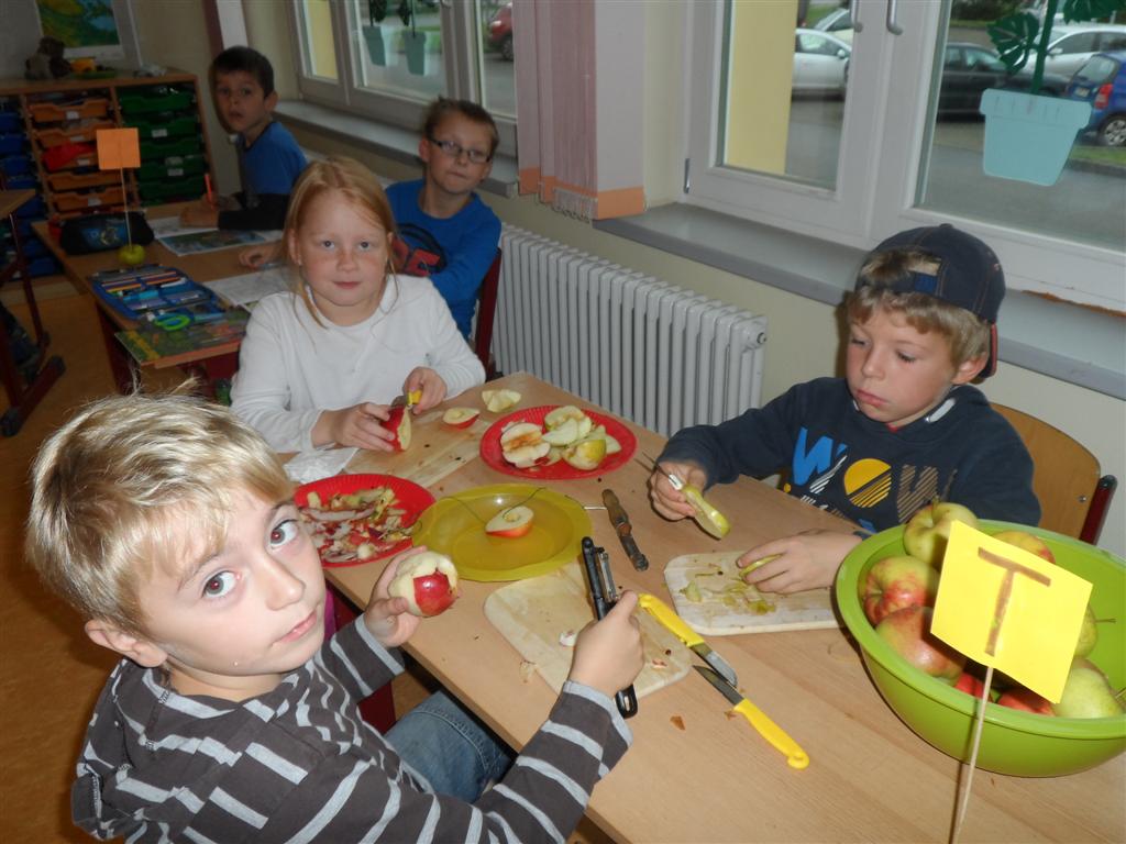 Herbstprojekt 2014 019