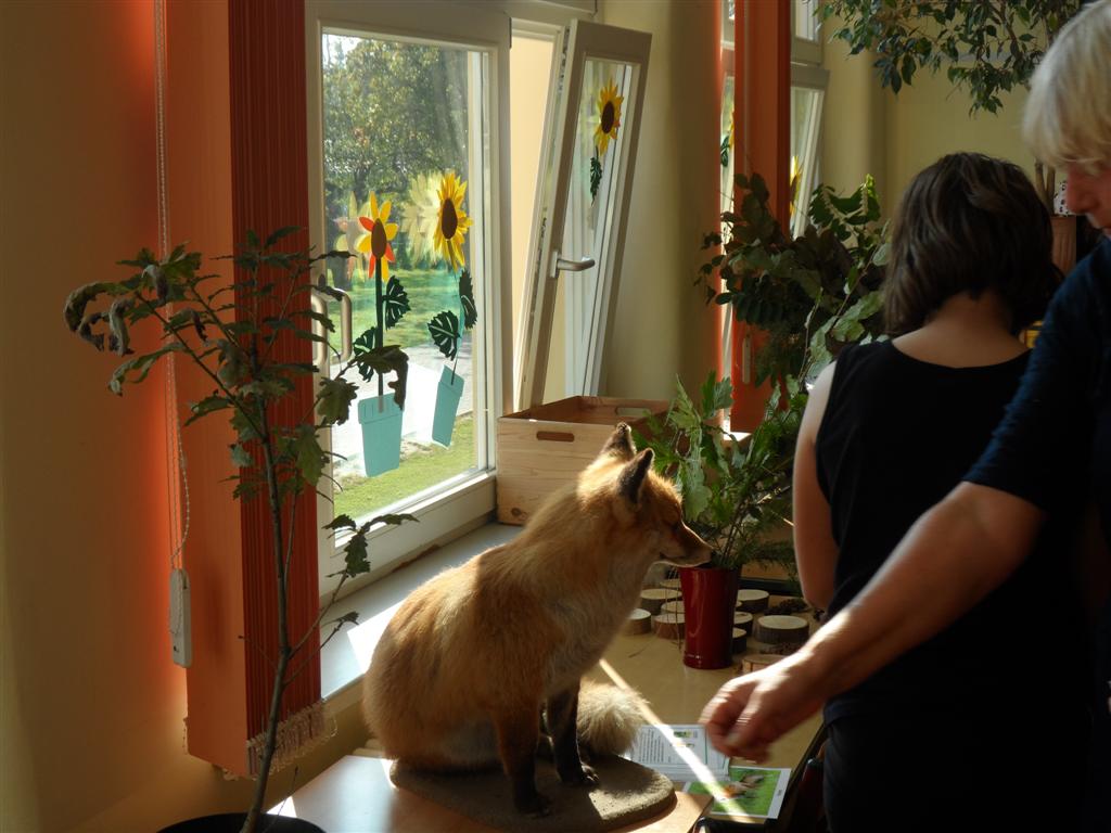 Tag der offenen Tür 2014 043